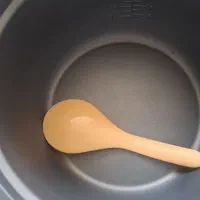 پلو پز سانی