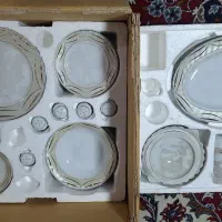 ظروف چینی