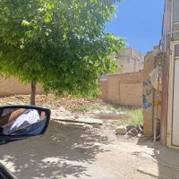 زمین