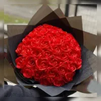 گل جاودان|گل مصنوعی|قزوین, |دیوار