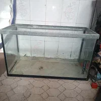 فروش آکواریوم