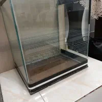 اکواریوم شیشه خارجی خم