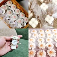 انواع شمع بابونه