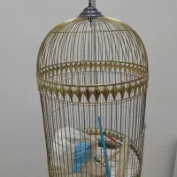 قفس پرنده