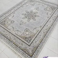 ارـ زانکده شـهـر.   فرش /». آیلین