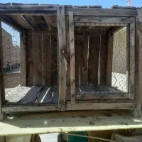 قفس پرنده