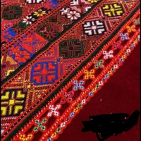 کریشی و سرتوپ