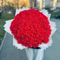 بهترین قیمت تخفیف ویژه