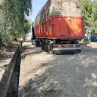 علوفه نیشکروملاس