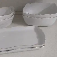 ظروف سرو غذا