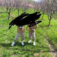 فروش-باغ