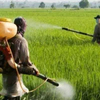 نیازمند کارگر سالانه ۶ماهه کار کشاورزی  و باغ پسته