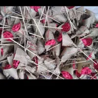 گل کاغذی|گل و گیاه طبیعی|تهران, بلورسازی|دیوار