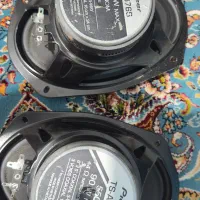باند پایونر 6976s