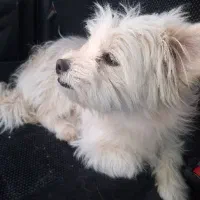 زیبا بازیگوش و دوست داشتنی