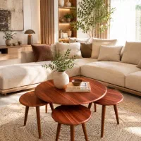 فروشنده خانم حرفه ای برای فروشگاه مبلمان