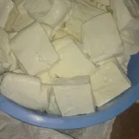 پنیر گوسفند ییلاق