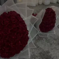 گل رز جاودان روبانی با ۵۰٪ تخفیف