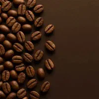 رست تخصصی قهوه فروش عمده و جزئی