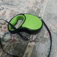 قلاده سگ