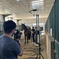 مدیریت پیج اینستاگرام/ادمین اینستاگرام/تولید محتوا