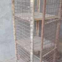 قفس