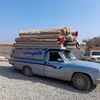کارگر قالیشویی