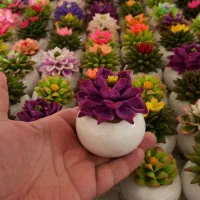 مجموعه گاکتوس