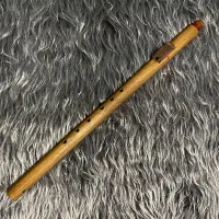 لاکوتا فلوت سرخپوستی