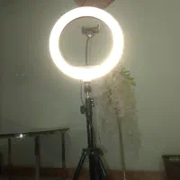 رینگ لایت