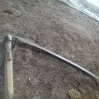 درجازشامله