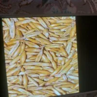 فروش ویژه جو