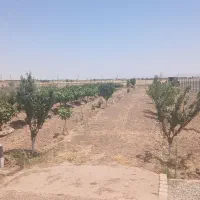 باغ-چهار-قشلاق