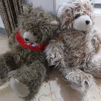 عروسک خرس وارداتی