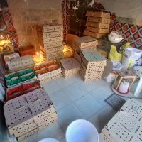 پخش و تولید جوجه یک روزه .جوجه رنگی .کردی .اردک