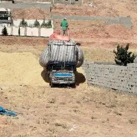 کاه گندم خوشه دار تحویلی