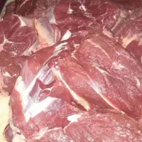 گوشت ران و سردست گوساله