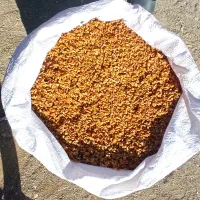 اناردان امسالی