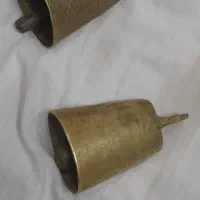 زنگوله برنجی برای قوچ وگوسفند