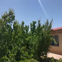اجاره شهر جدید امیرکبیر