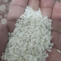 برنج نیمدانه  لاشه هاشمی
