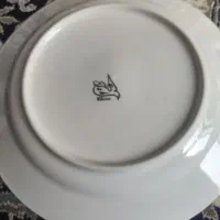 پلوخوری گل صورتی  بدون لب پریدگی مناسب میهمانی