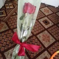 گل طبیعی|گل و گیاه طبیعی|مشهد, شهید هاشمی نژاد|دیوار