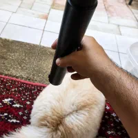 شوکر دور کننده حیوانات وحشی