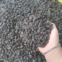تخمه ریز بساطی