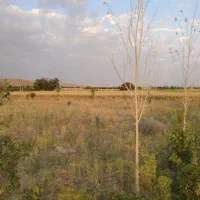 زمین-روستای-خورهه-بالای-باغ-سارینا