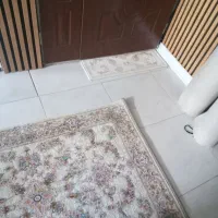 محافظ ریشه فرش دایمی برای همیشه
