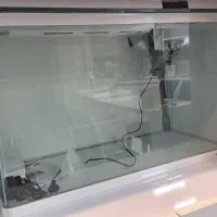اکواریوم