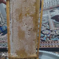فروش عسل خالص و طبیعی