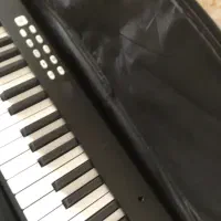 پیانو تاشو سند نر